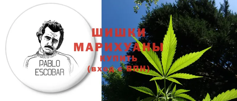 где найти наркотики  Тосно  это официальный сайт  МАРИХУАНА SATIVA & INDICA 